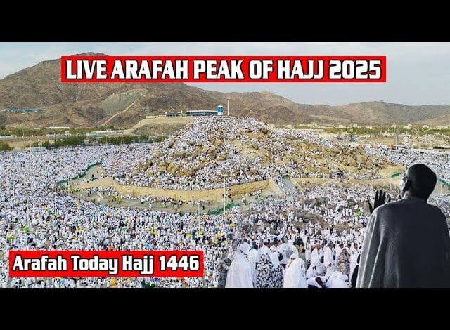 تقنية حج 1446: كيف شكّلت التقنية مستقبل الحج في المملكة تقنية حج 1446: كيف شكّلت التقنية مستقبل الحج في المملكة